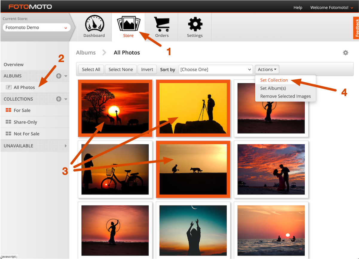Move multiple images to a Collection in the Fotomoto Dashboard