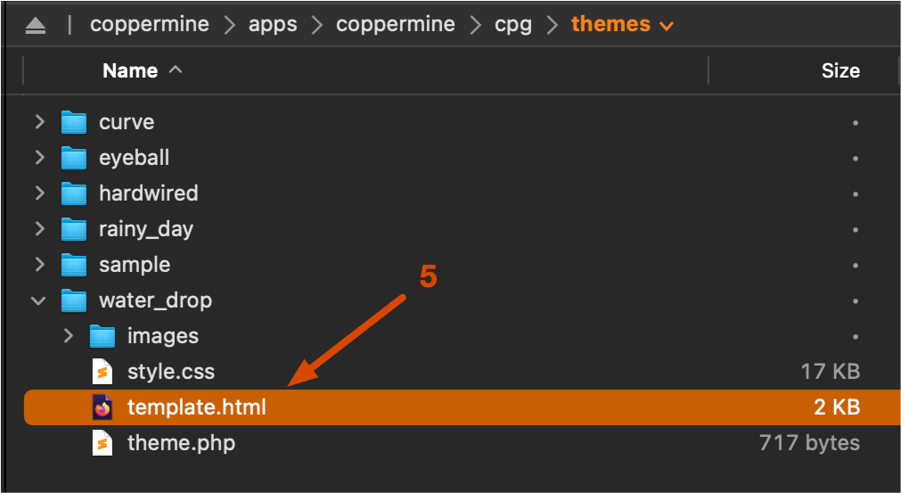 Theme template.html file in the theme directory on the server